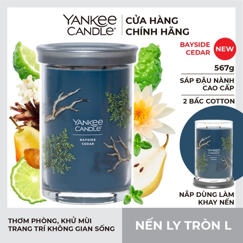 Nến thơm Yankee Candle, Nến ly tròn size L, Mùi Bayside Cedar