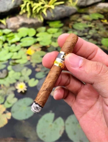 Cigar Cohiba Short Limited Edition