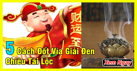 Top 5 cách Top 5 cách