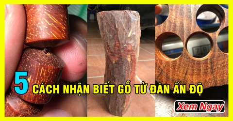 8 cách nhận biết Gỗ Tử Đàn thật giả chuẩn nhất từ chuyên gia 8 cách nhận biết Gỗ Tử Đàn thật giả chuẩn nhất từ chuyên gia