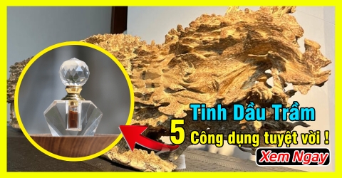 5 Công dụng tinh dầu trầm hương với sức khỏe và tâm linh 5 Công dụng tinh dầu trầm hương với sức khỏe và tâm linh