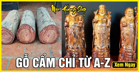 Gỗ Cẩm Chỉ là gì? Cách nhận biết gỗ Cẩm Chỉ, Giá bán, Phân loại?