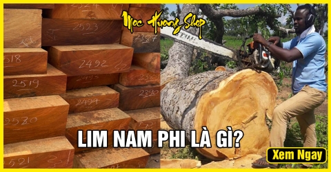 Gỗ Lim Nam Phi là gì? Phân loại, Đặc điểm, Giá bán, Cách nhận biết