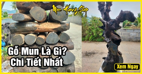 Gỗ mun có mấy loại? Giá bán? Công dụng? Cách nhận biết thật giả Gỗ mun có mấy loại? Giá bán? Công dụng? Cách nhận biết thật giả