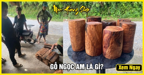 GỖ NGỌC AM LÀ GÌ? - NHỮNG ĐIỀU CẦN BIẾT VỀ GỖ NGỌC AM GỖ NGỌC AM LÀ GÌ? - NHỮNG ĐIỀU CẦN BIẾT VỀ GỖ NGỌC AM