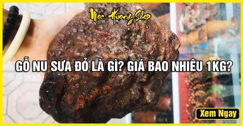Tất tần tận về Gỗ Nu Sưa Đỏ là gì? Giá bao nhiêu? Tất tần tận về Gỗ Nu Sưa Đỏ là gì? Giá bao nhiêu?