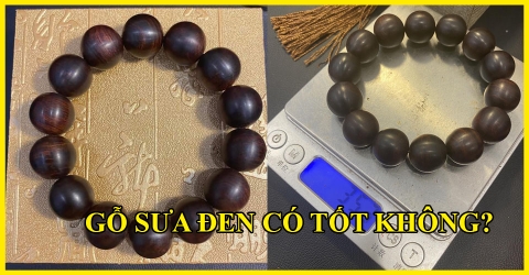 Gỗ Sưa Đen Là Gì? Có Tốt Không? Nguồn Gốc và Giá Bán Gỗ Sưa Đen Là Gì? Có Tốt Không? Nguồn Gốc và Giá Bán