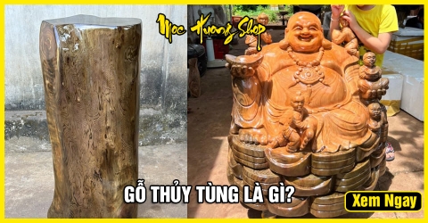 Gỗ Thủy Tùng Là Gì? Cách Nhận Biết, Phân Loại, Nguồn Gốc, Ý Nghĩa Gỗ Thủy Tùng Là Gì? Cách Nhận Biết, Phân Loại, Nguồn Gốc, Ý Nghĩa
