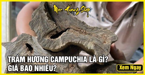 Trầm hương Campuchia là gì? Nguồn gốc, Phân loại, Giá bán?