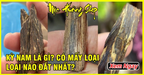 KỲ NAM LÀ GÌ? Có Mấy Loại Kỳ Nam? Loại Nào Đắt Nhất KỲ NAM LÀ GÌ? Có Mấy Loại Kỳ Nam? Loại Nào Đắt Nhất