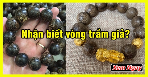 Cách nhận biết Vòng Trầm Hương Giả trên thị trường mới nhất 2023 Cách nhận biết Vòng Trầm Hương Giả trên thị trường mới nhất 2023