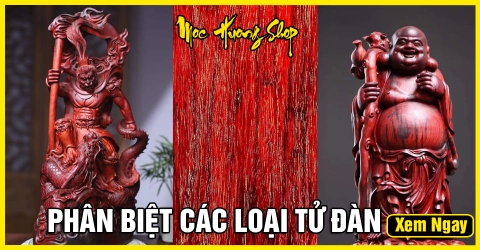 Phân biệt gỗ Tử Đàn Ấn Độ, Tử Đàn Nam Phi, Tử Đàn Trung Quốc Phân biệt gỗ Tử Đàn Ấn Độ, Tử Đàn Nam Phi, Tử Đàn Trung Quốc