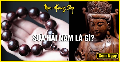 Sưa Hải Nam là gì? Cách nhận biết? Phân loại và Giá bán