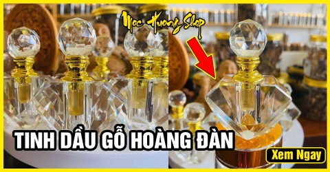 5 Lợi ích tinh dầu Hoàng Đàn nguyên chất 100% ít người biết 5 Lợi ích tinh dầu Hoàng Đàn nguyên chất 100% ít người biết