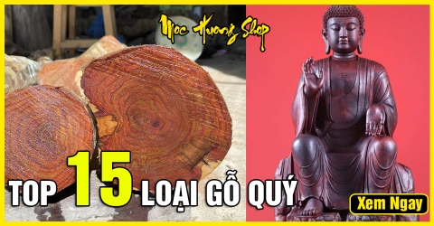 Top 15 Loại Gỗ Quý Nổi Tiếng Được Sử Dụng Trong Phong Thủy