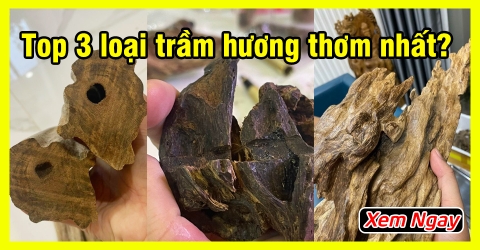 Top 3 loại trầm hương thơm mạnh nhất đại gia luôn săn tìm Top 3 loại trầm hương thơm mạnh nhất đại gia luôn săn tìm