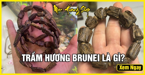Trầm Hương Brunei (Brunay) Có tốt không? Giá bao nhiêu?