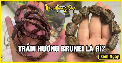 Trầm Hương Brunei (Brunay) Có tốt không? Giá bao nhiêu? Trầm Hương Brunei (Brunay) Có tốt không? Giá bao nhiêu?