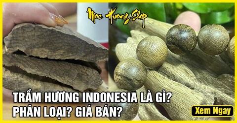 Gỗ Trầm Hương Indonesia là gì? - Nguồn gốc, Phân loại và Giá bán Gỗ Trầm Hương Indonesia là gì? - Nguồn gốc, Phân loại và Giá bán