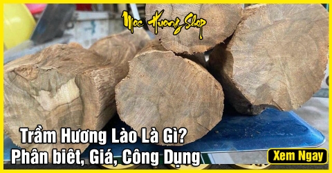 Gỗ Trầm Hương Lào là gì? - Nguồn gốc, Phân loại và Giá bán Gỗ Trầm Hương Lào là gì? - Nguồn gốc, Phân loại và Giá bán