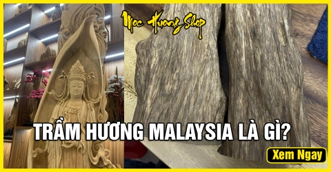 Trầm Hương Malaysia là gì? Có tốt không? Phân loại và Giá bán Trầm Hương Malaysia là gì? Có tốt không? Phân loại và Giá bán