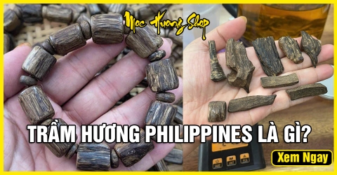 Gỗ Trầm Hương Philippines là gì? - Phân loại, Nguồn gốc và Giá bán Gỗ Trầm Hương Philippines là gì? - Phân loại, Nguồn gốc và Giá bán