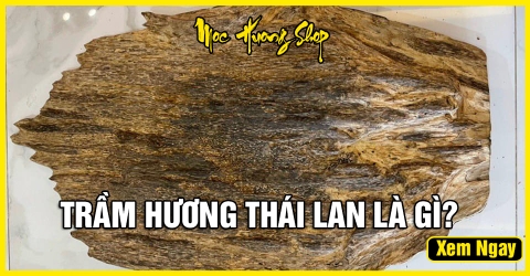 Trầm Hương Thái Lan là gì? Có tốt không? Giá bao nhiêu? Trầm Hương Thái Lan là gì? Có tốt không? Giá bao nhiêu?