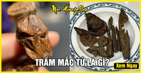 Tất tần tận Trầm Hương Mắc Tử Là Gì? Nguồn Gốc và Giá Bán