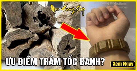 Trầm Tốc Banh là gì? Cách nhận biết, Đặc điểm, Giá bao nhiêu? Trầm Tốc Banh là gì? Cách nhận biết, Đặc điểm, Giá bao nhiêu?