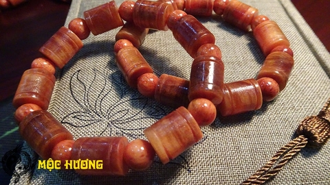 THÂN HUYẾT LONG đốt trúc 10mm THẤU QUANG VIP 100%