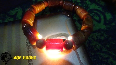 THÂN HUYẾT LONG đốt trúc 10mm THẤU QUANG VIP 100%