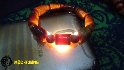 THÂN HUYẾT LONG đốt trúc 10mm THẤU QUANG VIP 100%