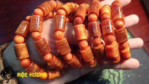 THÂN HUYẾT LONG đốt trúc 10mm THẤU QUANG VIP 100%