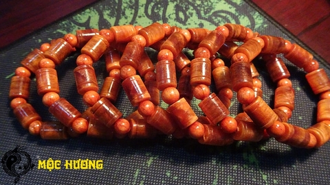 THÂN HUYẾT LONG đốt trúc 10mm THẤU QUANG VIP 100%