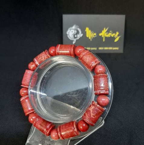 Vòng Tay San Hô Đỏ Tự Nhiên Đốt Trúc 10mm Việt Nam Loại VIP