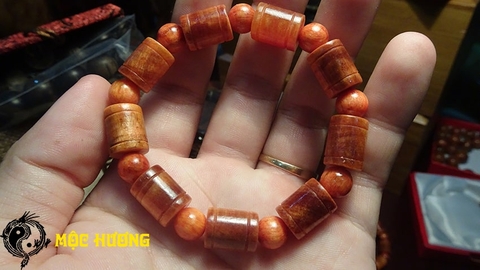 THÂN HUYẾT LONG đốt trúc 10mm THẤU QUANG VIP 100%