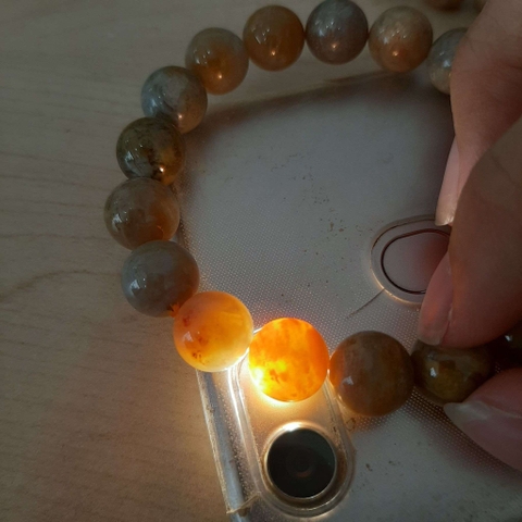 Vòng San Hô Hóa Thạch Tự Nhiên Thấu Quang Vip 12mm