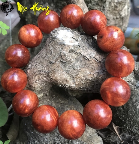 Nu hoa huyết long vân vip 18mm - Mộc Hương Shop
