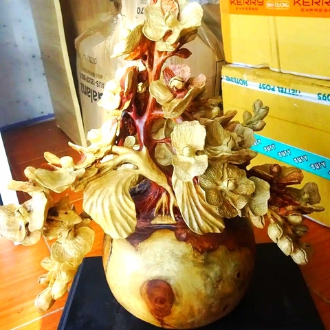 Bình hoa mai vàng gỗ gù hương - Mộc Hương Shop