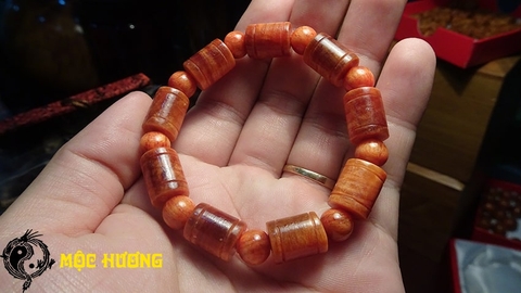 THÂN HUYẾT LONG đốt trúc 10mm THẤU QUANG VIP 100%