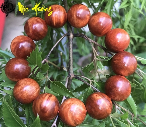 Nu hoa huyết long vân vip 18mm - Mộc Hương Shop