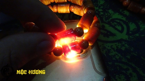 THÂN HUYẾT LONG đốt trúc 10mm THẤU QUANG VIP 100%