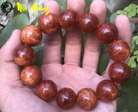 Nu hoa huyết long vân vip 18mm - Mộc Hương Shop