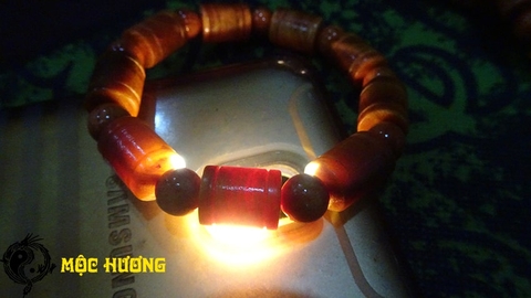 THÂN HUYẾT LONG đốt trúc 10mm THẤU QUANG VIP 100%