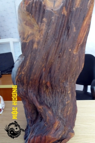 Tượng di lặc kim tiền lá sen gỗ lũa bách xanh cực vip