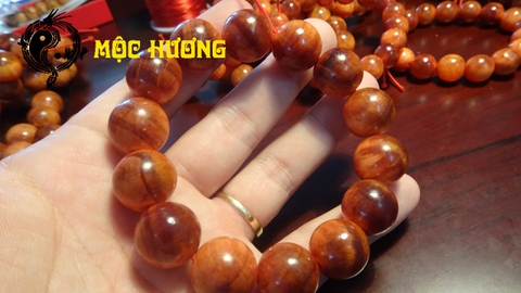 Vòng Gỗ Huyết Long Thấu Quang Vip 100%, Giá 195k, Freeship Toàn Quốc