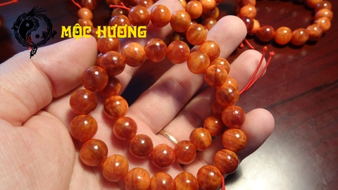 Vòng Gỗ Huyết Long Thấu Quang Vip 100%, Giá 195k, Freeship Toàn Quốc