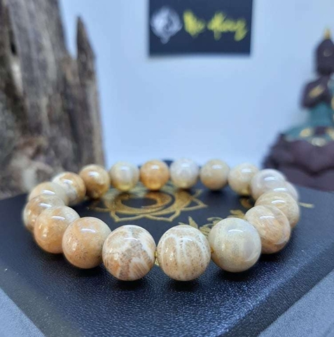 Vòng San Hô Hoá Thạch Tự Nhiên Vip 10mm