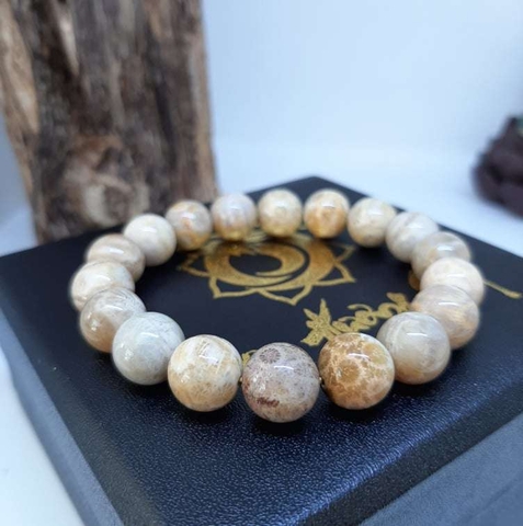 Vòng San Hô Hoá Thạch Tự Nhiên Vip 10mm