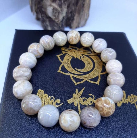 Vòng San Hô Hoá Thạch Tự Nhiên Vip 10mm